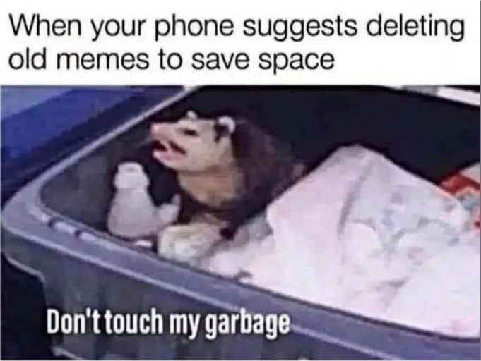deleting old memes majorgeeks.jpg